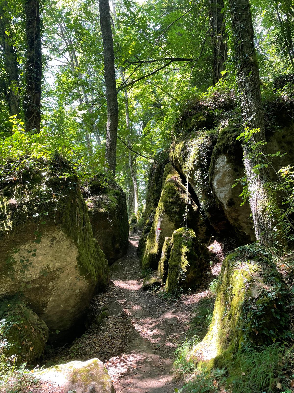 San Francesco, il primo degli ecologisti
